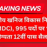 NMDC Recruitment 2025